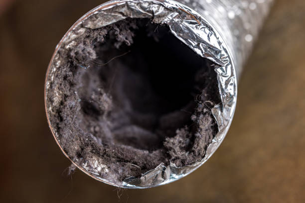Best HVAC Air Duct Cleaning  in Blythe, CA